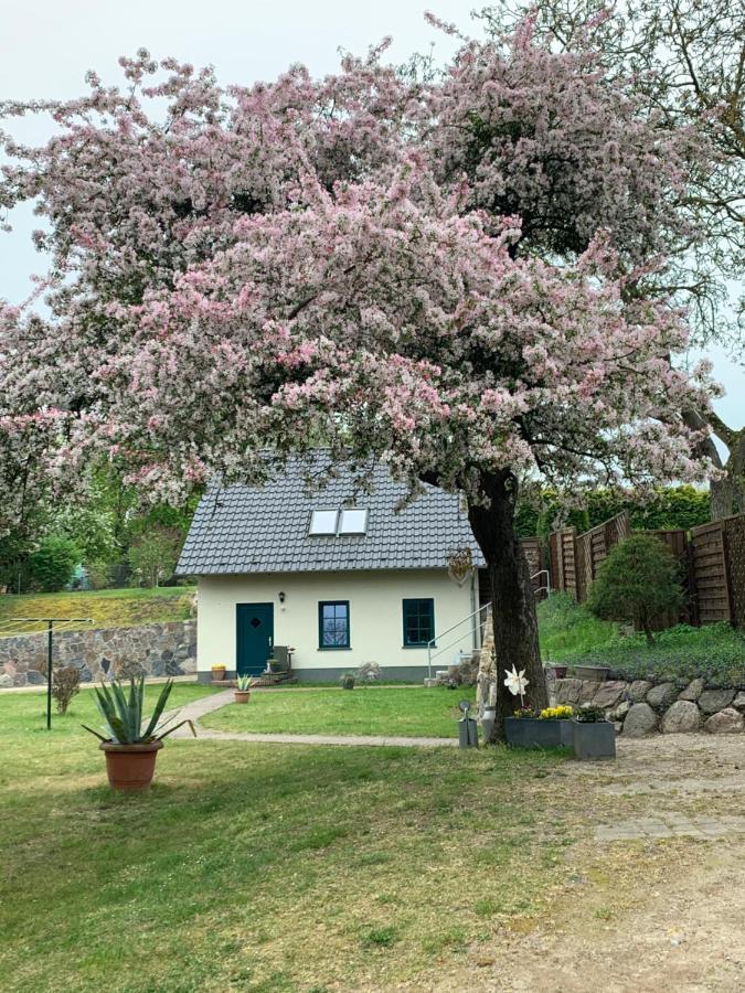 „Rentmeisterhaus Basedow“ Basedow  Zewnętrze zdjęcie